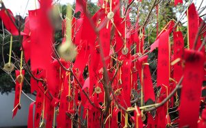 A traditional Chinese Wishing tree