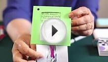 Make Your Own Flash Cards